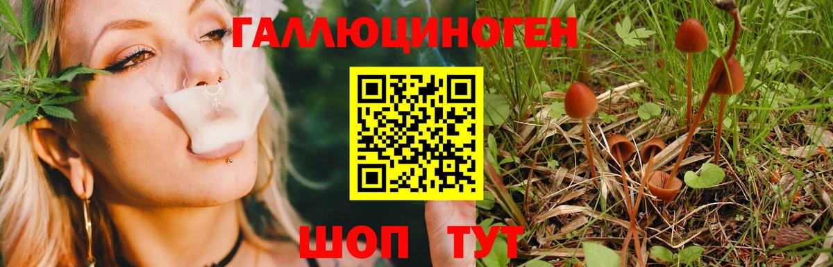 Галлюциногенные грибы ЛСД  Вход с VPN  Кушва 