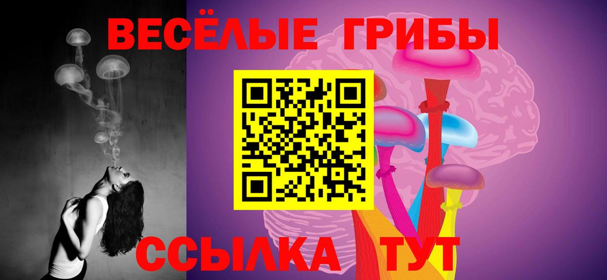 Псилоцибиновые грибы мицелий Кушва